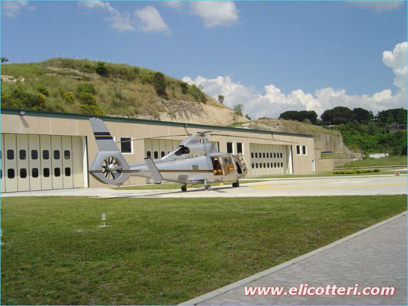 elifoto (80)